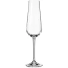 ICM Wine*Amundsen Champagne Flute