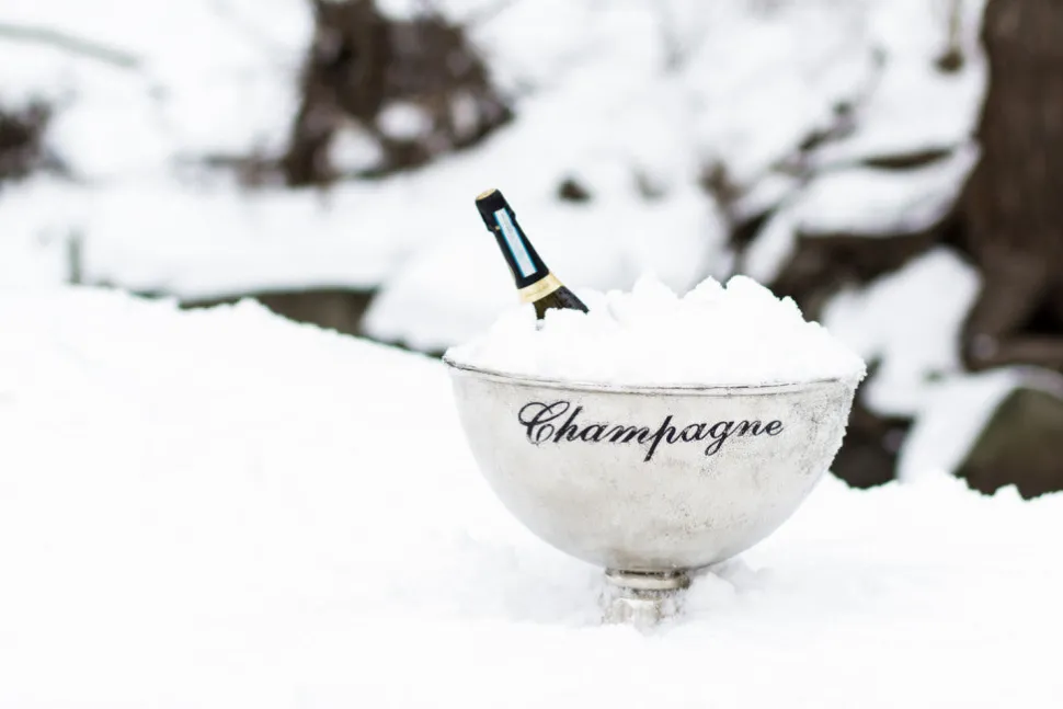 Abbott Wine*Extra Large Champagne Pedestal Bowl