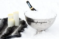 Abbott Ice Molds + Tools*Extra Large Champagne Pedestal Bowl