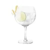 Product Specialties Inc. Copa Balloon*Final Touch Copa Gin & Tonic Glass