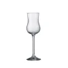 ICM Spirit Tasting*Grappa Glass