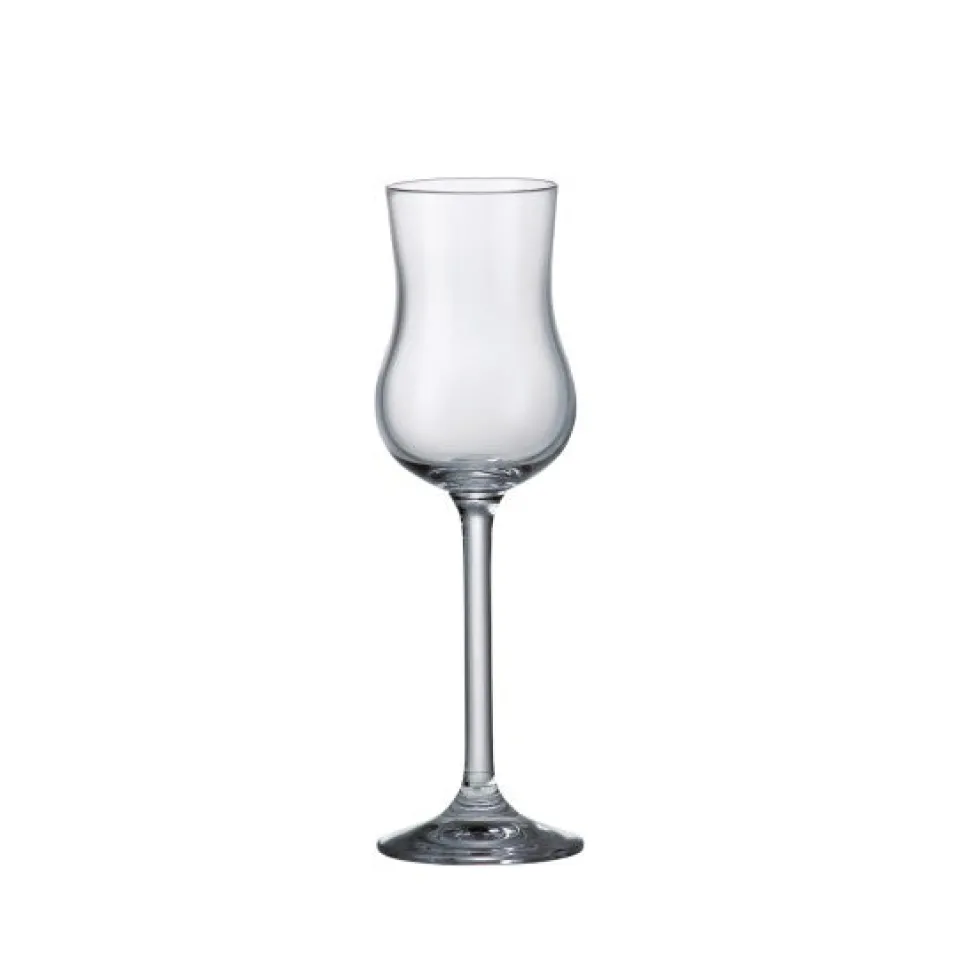 ICM Spirit Tasting*Grappa Glass