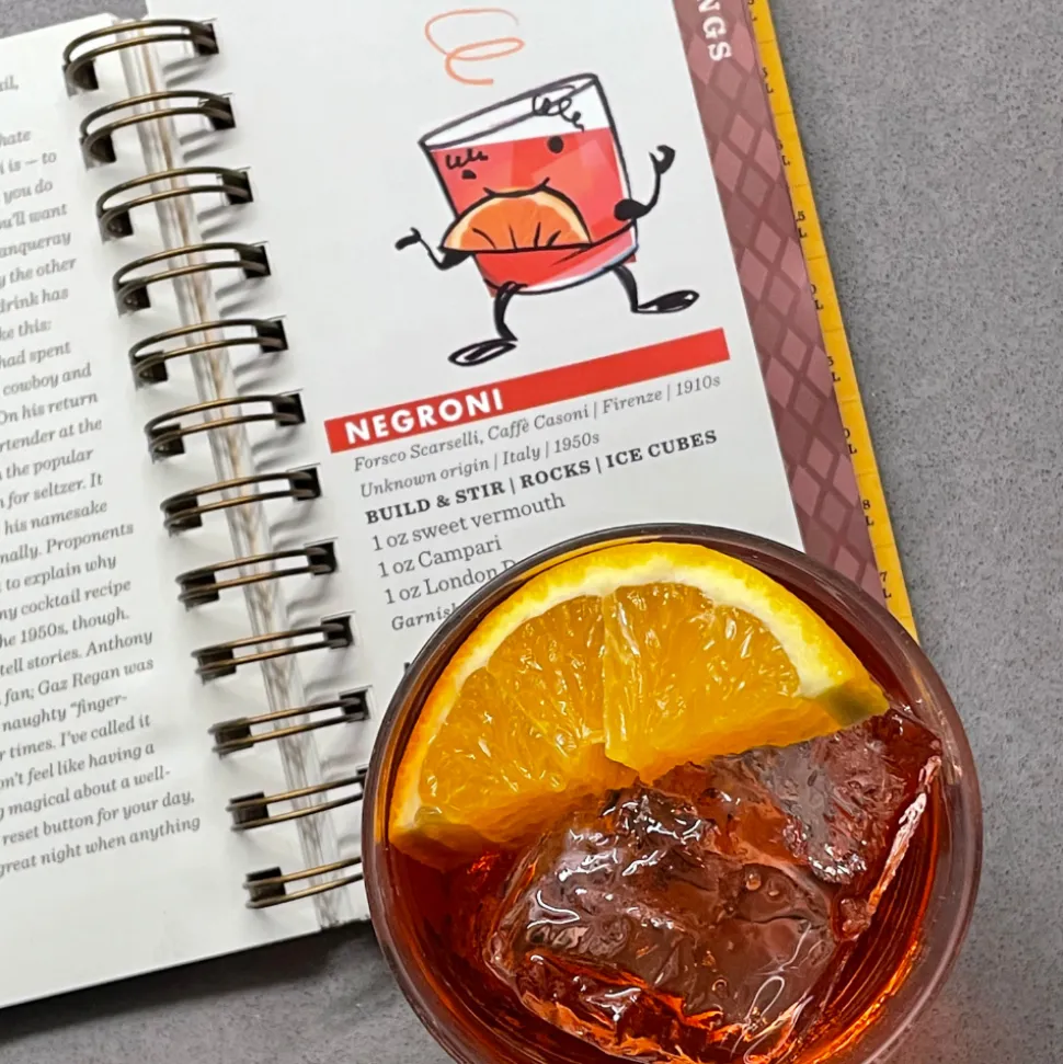 Dave Stolte Books*Home Bar Basics (And Not So Basics): Over 200 Essential Recipes For Slings & Sours, Grogs & Nogs