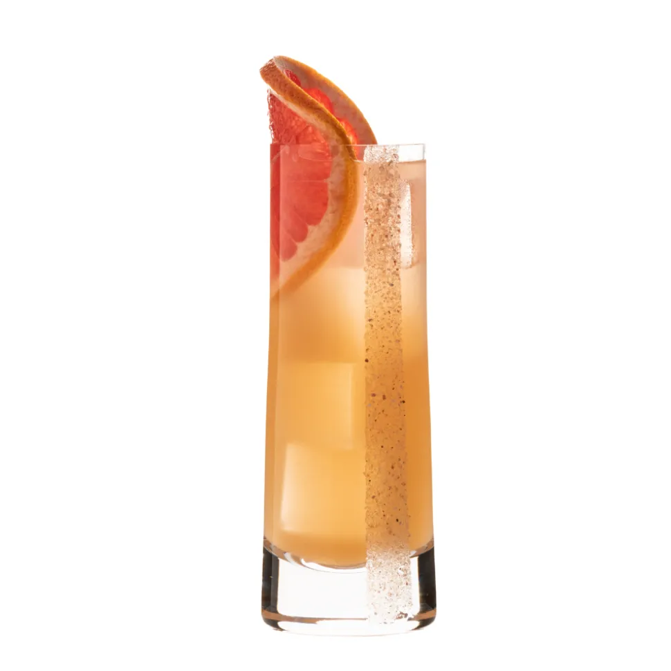 David Shaw Highball Glasses*Lsa Gin Highball Glasses (Set Of 2)