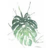 Niki Kingsmill Tiki*Monstera Greeting Card