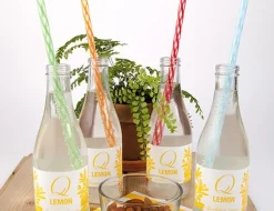Kikkerland Straws*Rainbow Reusable Straws (Pack Of 24)