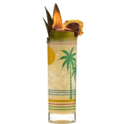 China Highball Glasses*Retro Tropical Collins Glass