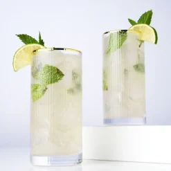 True Fabrications Highball Glasses*Viski Meridian Highball Glasses (Set Of 2)