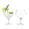 True Fabrications Copa Balloon*Viski Raye Gin & Tonic Glasses (Set Of 2)