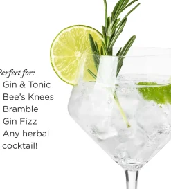 True Fabrications Copa Balloon*Viski Raye Gin & Tonic Glasses (Set Of 2)