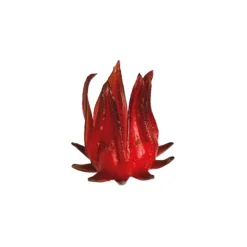 Qualifirst Foods Inc. Garnishes*Wild Hibiscus Flowers In Syrup (1L)