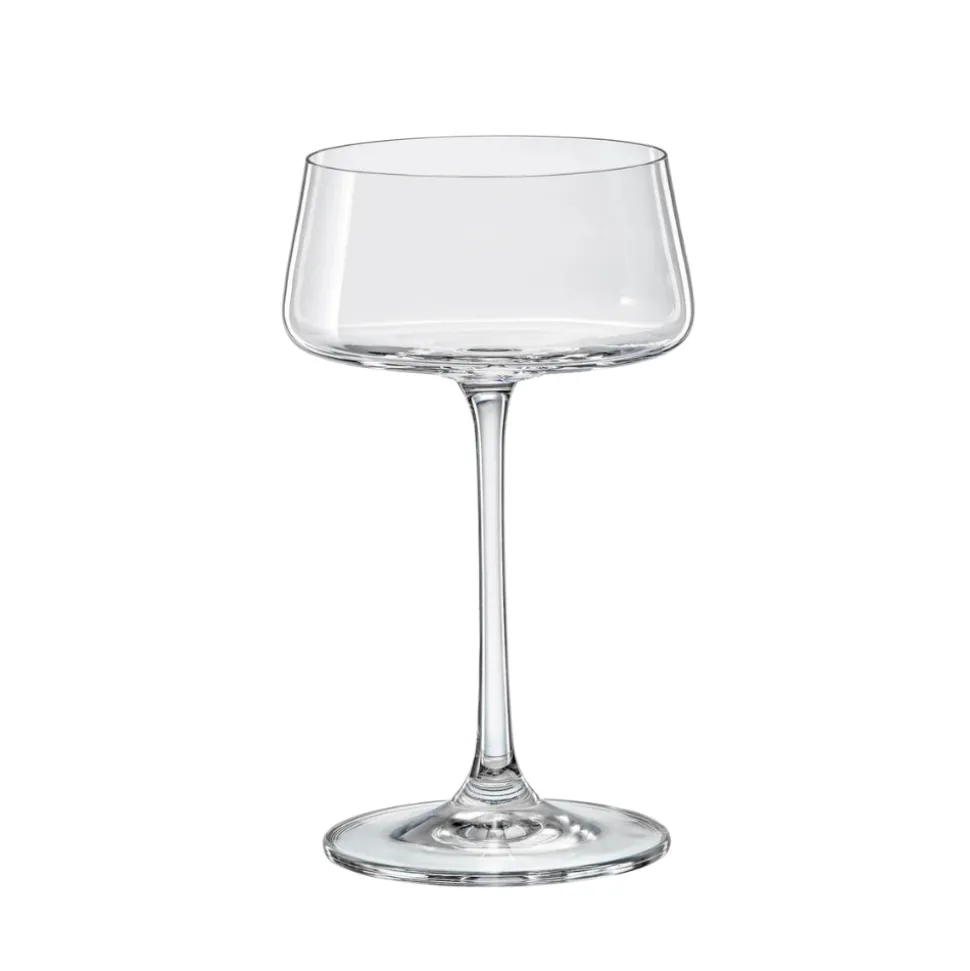 David Shaw Coupes / Nick & Nora*Xtra Champagne Coupe
