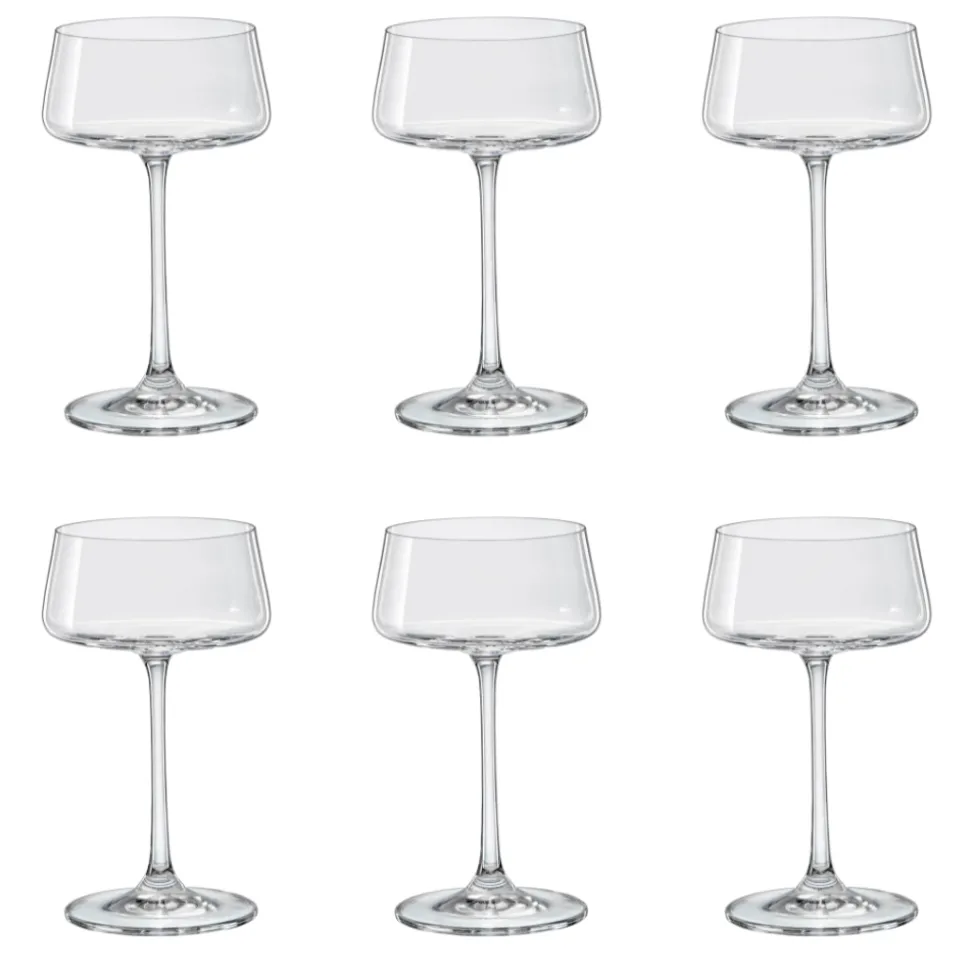 David Shaw Coupes / Nick & Nora*Xtra Champagne Coupe